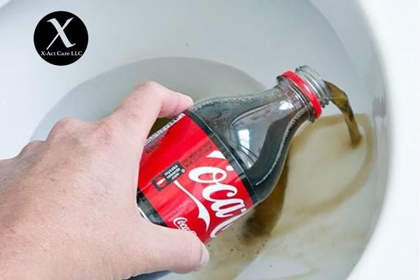 Toilet Cleaning Hacks